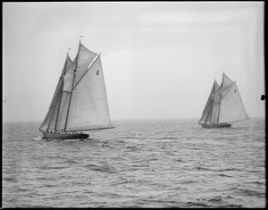 Fishing schooners - Gloucester. no. 4: Elsie, no. 2: Gertrude L. Thebaud