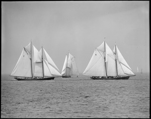 Fishing schooners Thomas S. Gorton no. 3, Progress no. 2, Elsie no. 4 off Gloucester