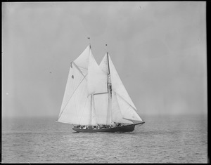 Fishing schooner Elsie - Gloucester