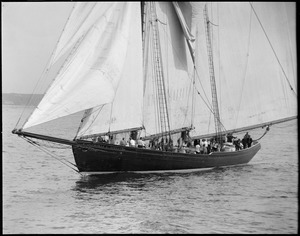 Fishing schooner no. 3 Thomas S. Gorton off Gloucester