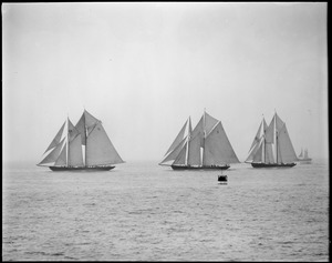 Fishing schooners - Gloucester. no. 5: Arthur D. Story, no. 2: Progress, no. 4: Elsie