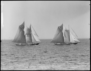 Fishing schooners race off Gloucester, Ford vs. Columbia