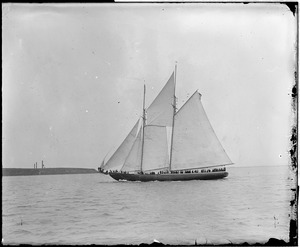 Sailboats