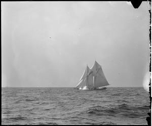 Fishing schooner under sail