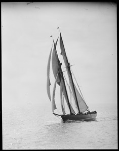 Fishing schooner in full sail off Gloucester