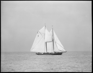 Fishing schooner no. 4 - Elsie