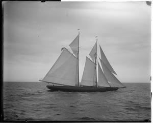 Fishing schooner Puritan.