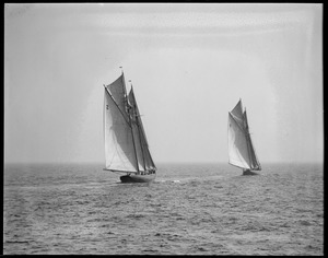 Fishing schooners - Gloucester. no. 4 Elsie and no. 2 Gertrude L. Thebaud