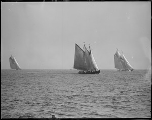 Fishing schooners race off Gloucester