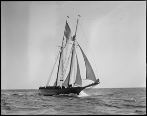 Fishing schooners - Gloucester