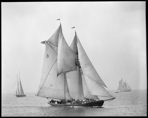 Fishing schooner - Arthur D. Story