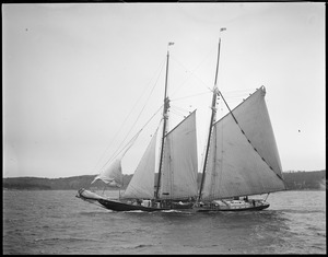 Fishing schooner under sail