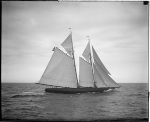 Fishing schooner Puritan off Gloucester