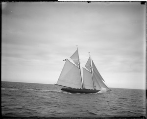 Fishing schooner - Puritan