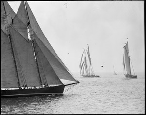 Fisherman's race off Gloucester, in the foreground no. 2 Progress