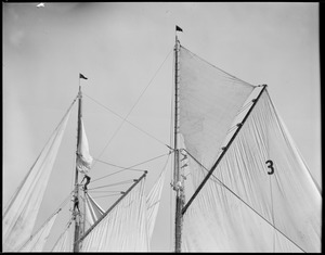 Men in rigging of the fishing schooner Thomas S. Gorton