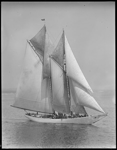 Fishing schooner Elizabeth Howard under full sail during race off Gloucester