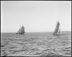Fishing schooner race off Gloucester