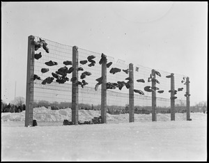 Open air shoe rack - in summer it is a base ball stop