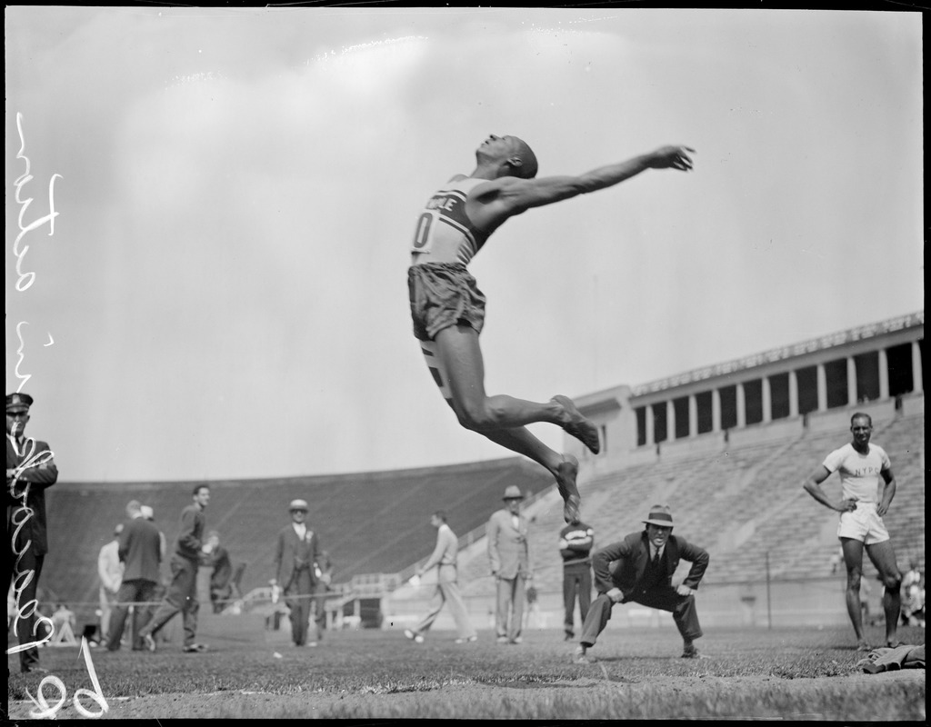 Peacock in action for Temple