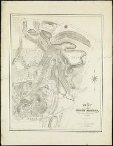 Plan of Mount Auburn