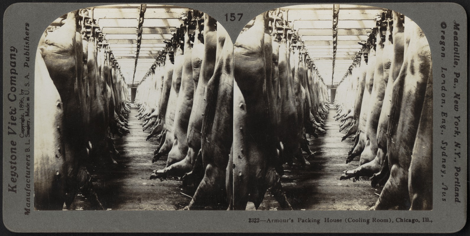 Armour's packing house (cooling room), Chicago, Ill., U.S.A.