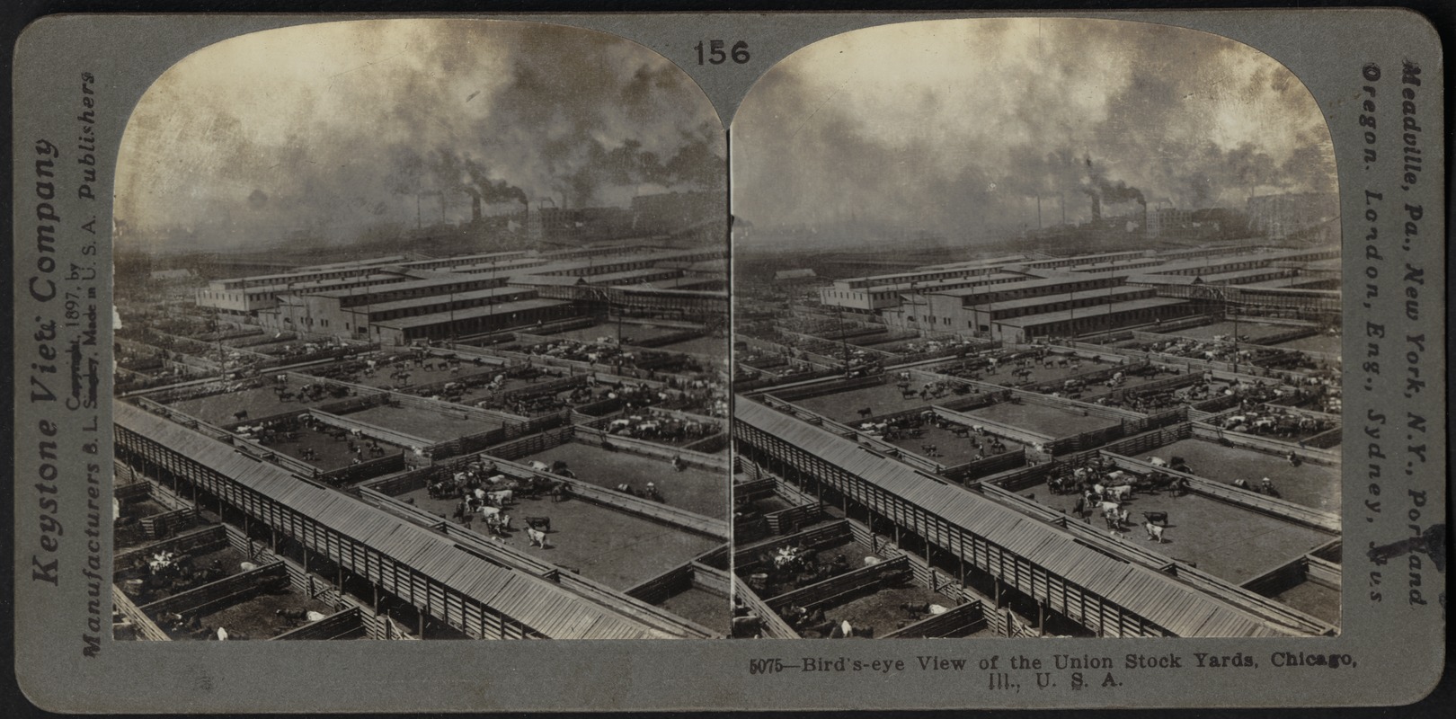 Union stockyards, bird's-eye view, Chicago, Illinois