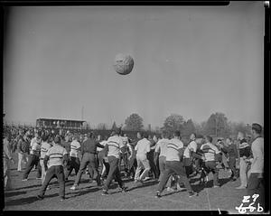 Cage ball