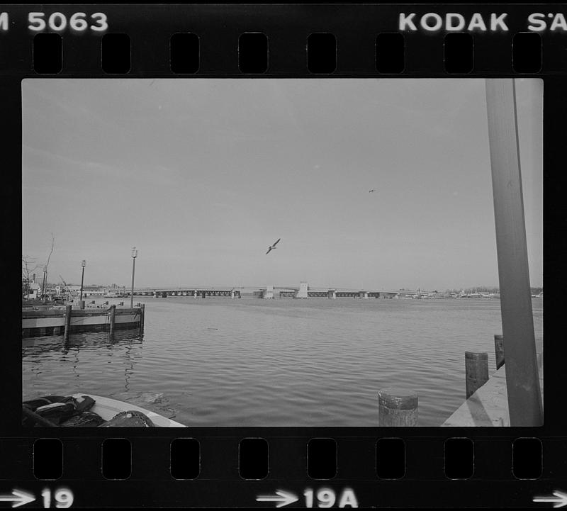 Bridge view from boardwalk