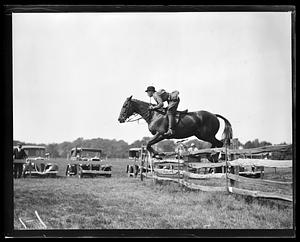 Horse jumping
