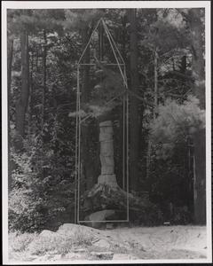 Structure in the woods