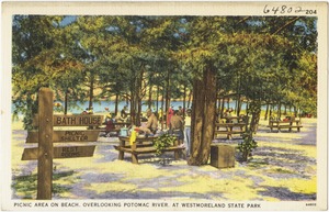 Picnic area on beach, overlooking Potomac River, at Westmoreland State Park