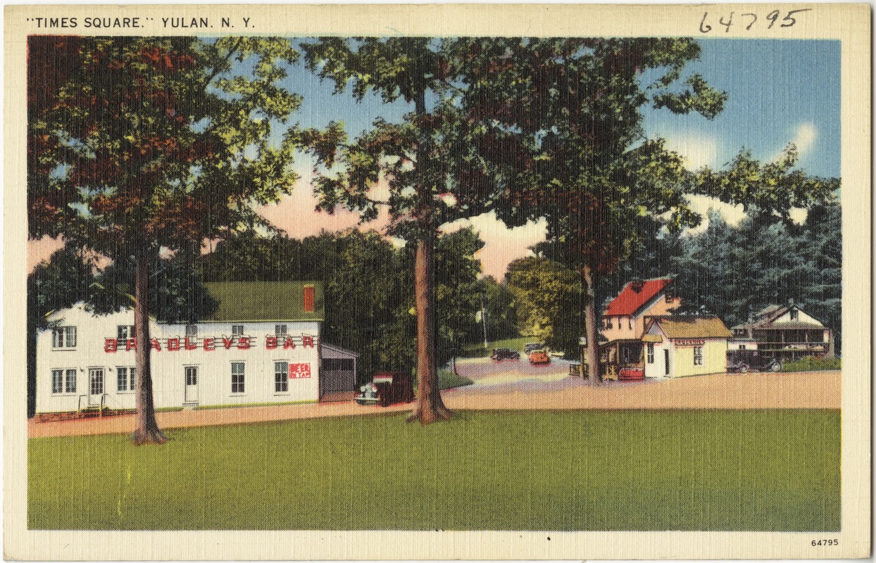 "Times Square," Yulan, N. Y.