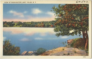 View of Washington Lake, Yulan N. Y.
