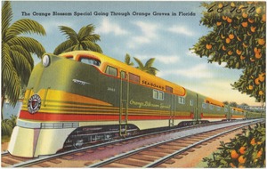 The Orange Blossom Special going through orange groves in Florida