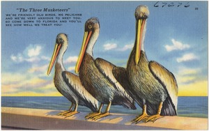"The three musketeers"