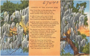 Legend of the Spanish Moss