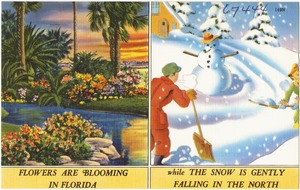 Flowers are blooming in Florida while the snow is gently falling in the North