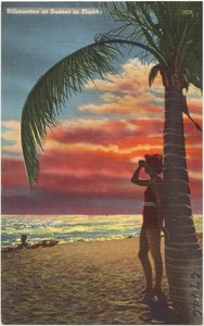 Silhouettes at sunset in Florida