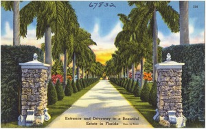 Entrance and driveway to a beautiful estate in Florida