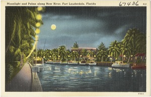 Moonlight and palms along New River, Fort Lauderdale, Florida