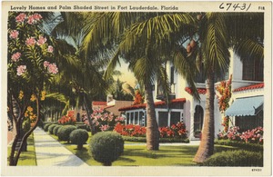 Lovely homes and palm shaded street in Fort Lauderdale, Florida