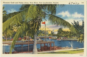 Pleasure craft and palms along New River, Fort Lauderdale, Florida