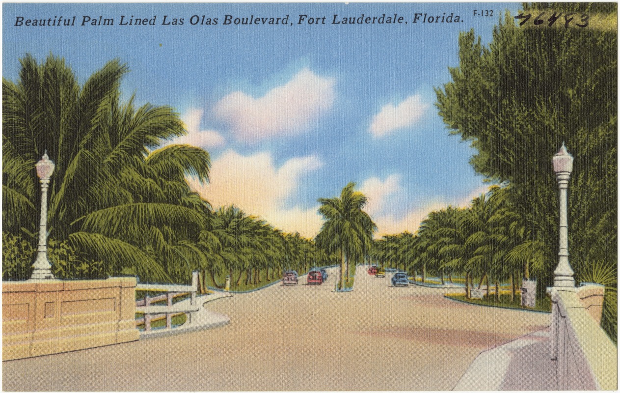 Beautiful palm lined Las Olas Boulevard, Fort Lauderdale, Florida
