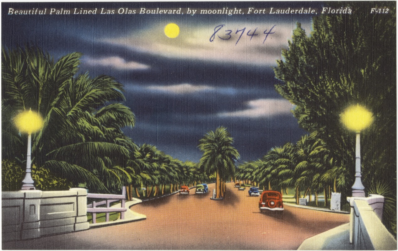 Beautiful palm lined Las Olas Boulevard, by moonlight, Fort Lauderdale, Florida