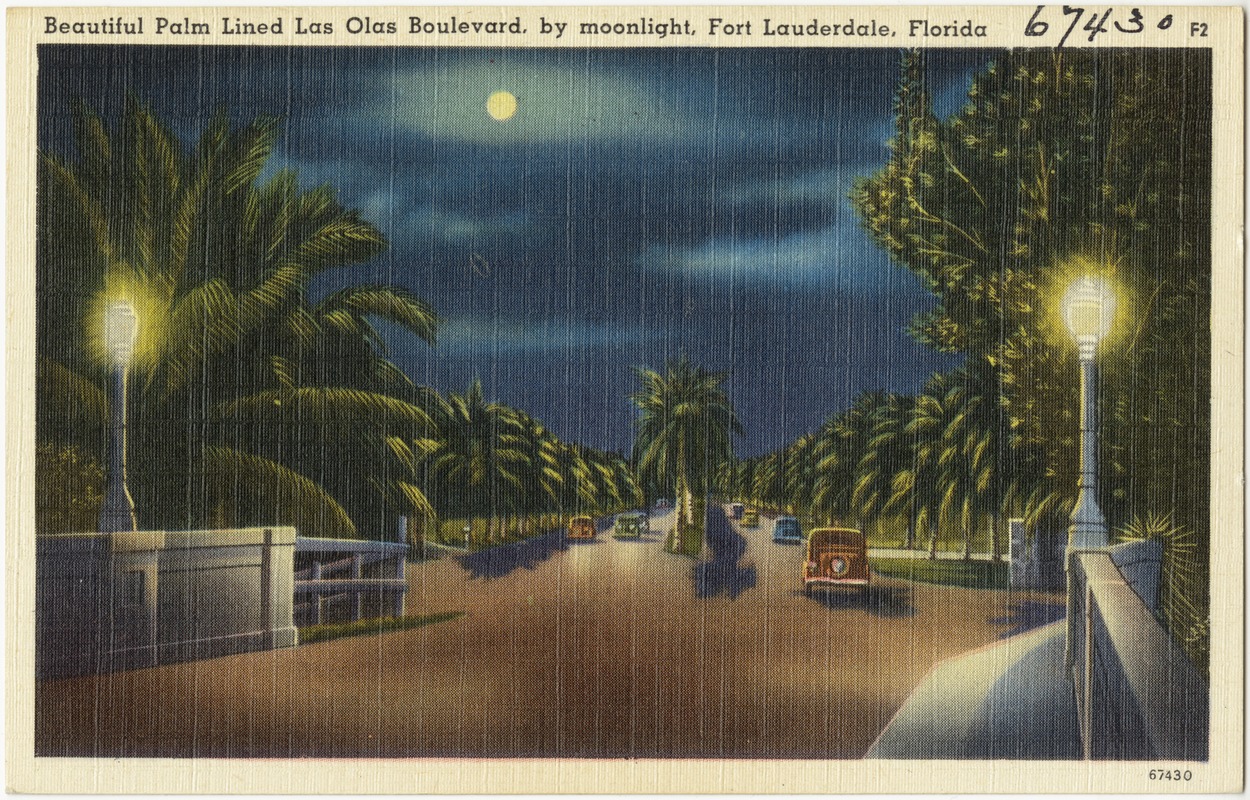 Beautiful palm lined Las Olas Boulevard, by moonlight, Fort Lauderdale, Florida