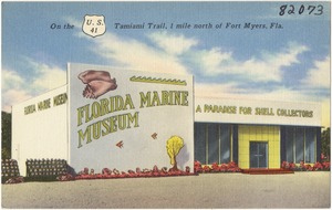 Florida Marine Museum, a paradise for shell collectors, on the U.S. 41 Tamiami Trail, 1 mile north of Fort Myers, Fla.