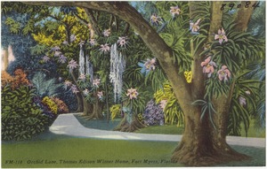 Orchid Lane, Thomas Edison winter home, Fort Myers, Florida