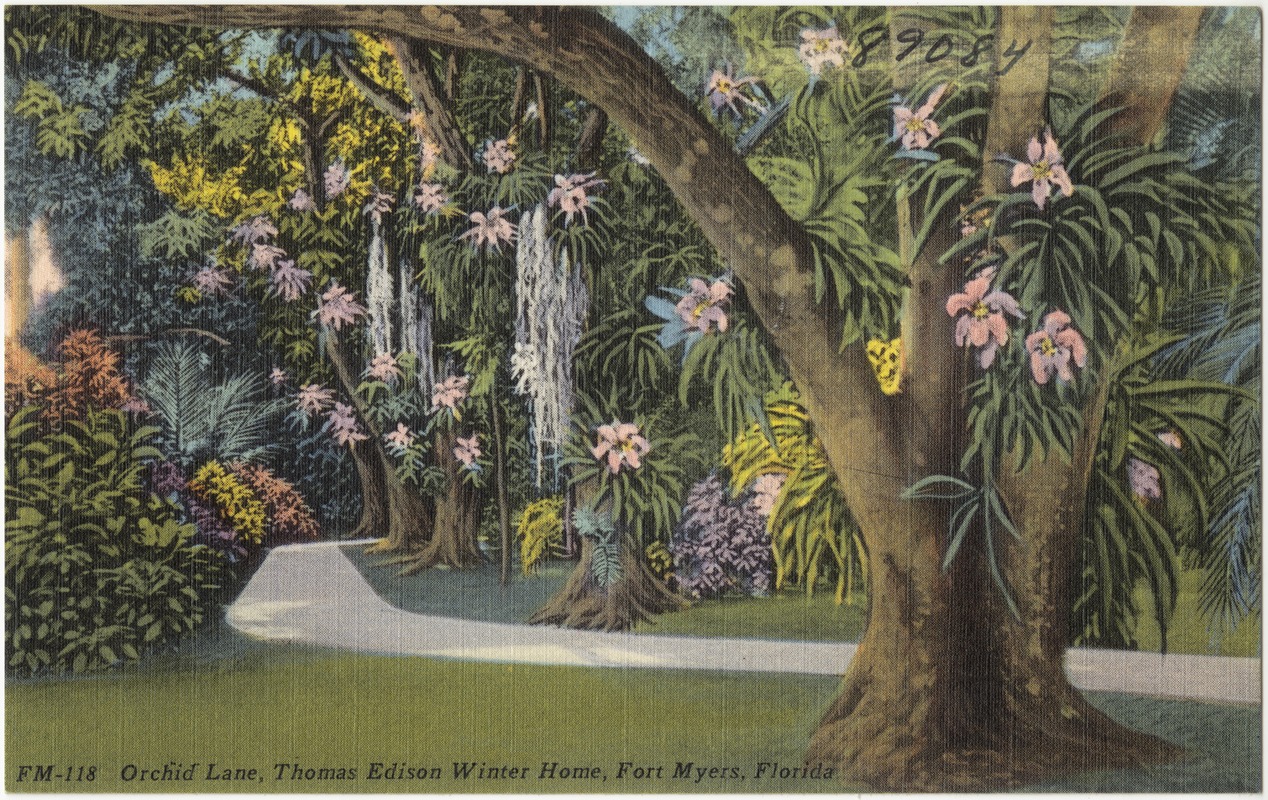 Orchid Lane, Thomas Edison winter home, Fort Myers, Florida