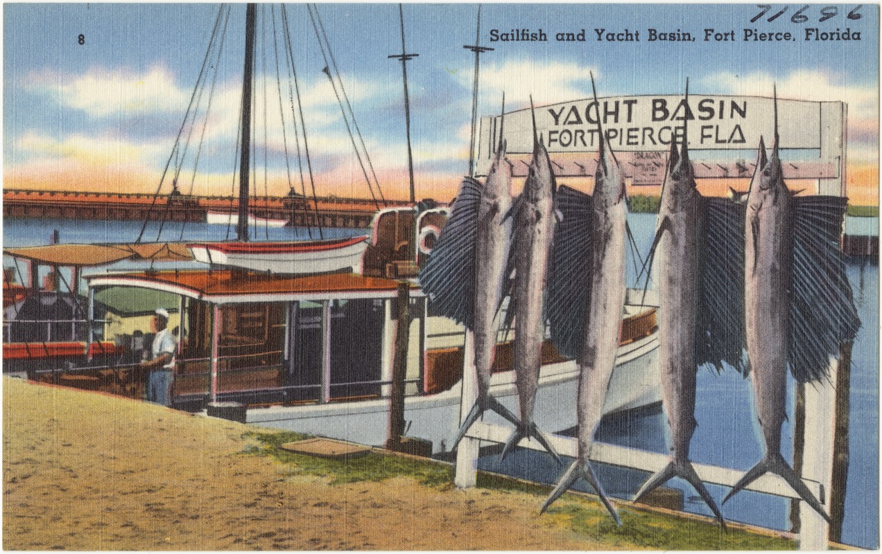 Sailfish and yacht basin, Fort Pierce, Florida